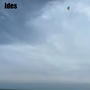 Flying Fish