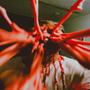 redrum (Explicit)