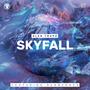 SKYFALL (feat. SVNBVRNED)