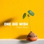 One Big Wish