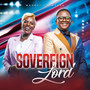 Sovereign Lord (Live)