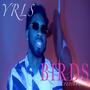 Birds (Explicit)