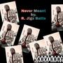 Never Meant (feat. Ant Live) [Explicit]