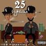 Twenty 5 Lighters (Explicit)