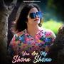 You Are My Shona Shona (feat. Ali Raza Pathan)