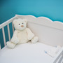 50 Nap Time Special Lullabies for Young Kids