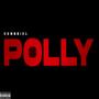 POLLY (Explicit)