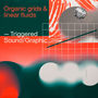 Various Artists/Organic Grids & Linear Fluids