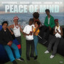 Peace of Mind (P.O.M)