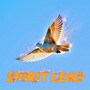 Spirit Lead