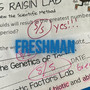 FRESHMAN (Explicit)