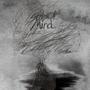 State Of Mind (Explicit)