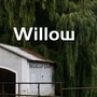 Willow (Explicit)