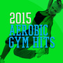 2016 Aerobic Gym Hits