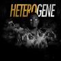 HETEROGENE (Explicit)