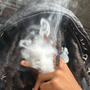 wejuswannagethigh (feat. Montana99) [remix] [Explicit]