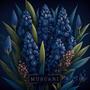 Muscari