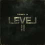 Level 2 (Explicit)