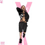 V2 (Explicit)