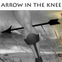 Arrow in the Knee (Dubstep Parody) [feat. Tryhardninja]