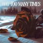 Way Too Many Times (Explicit)