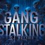 Gangstalking Remixes (Explicit)