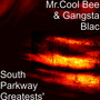 South Parkway Greatests (Explicit)