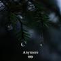 Anymore (feat. Sig Rillo) [Explicit]