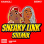 Sneaky Link Shemix (Explicit)