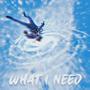 What I Need (Explicit)