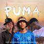 Puma (Extended version)