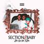 Section 8 Baby (Explicit)