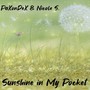 Sunshine in My Pocket