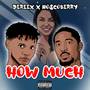 How Much (Explicit)