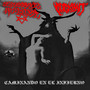 Caminando en el Infierno (Explicit)