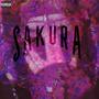 SAKURA (Explicit)