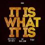 ItIsWhat It is (Explicit)