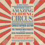 Matthew Gee's Amazing Sliding Circus