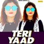 Teri Yaad - Single