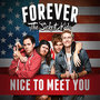 Nice to Meet You - Single