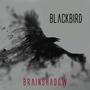 Blackbird