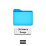 CEOwen's Songs (Explicit)