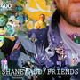 Shane-Michael Merritt Vidaurri / And / Friends (Explicit)