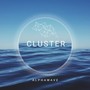 Cluster