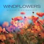 Windflowers