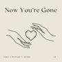 Now You're Gone (feat. Michael T. Wilde)