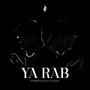 Ya Rab (Inspired by Dua Kumail)