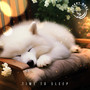 Time to Sleep