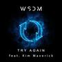 Try Again (feat. Kim Maverick)