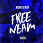 FREE NEAM (Explicit)